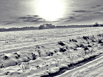 Fotoblog w9898