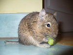 Fotoblog basia270200