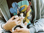 Fotoblog xsilver14x