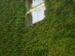 Fotoblog stanley76rsko