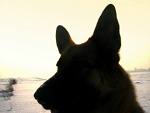Fotoblog suchalonelymen
