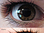 Fotoblog stonedblissx3