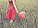 Fotoblog danmleko1