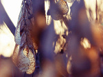 Fotoblog klauudyssa