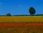 Fotoblog uncaught