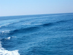 Fotoblog youmeyoume