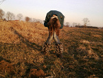 Fotoblog koniara7799