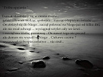 Fotoblog xxbeyourselfxxx