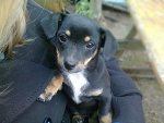 Fotoblog andziaaa20