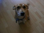 Fotoblog ilovebesty