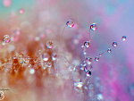 Fotoblog zmiksowana898