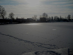 Fotoblog veens