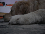 Fotoblog fourseasonss