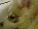 Fotoblog 123olcia123