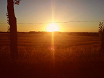 Fotoblog xxstefanxx