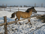 Fotoblog myminds