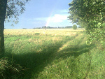 Fotoblog cytatyforyou