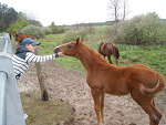 Fotoblog ruffi2304