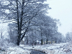 Fotoblog thepsychedepth