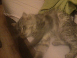 Fotoblog julciaxdlol