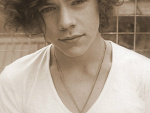 Fotoblog onedireeectonx333