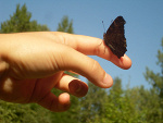 Fotoblog dishessamotnes