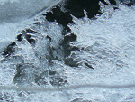 Fotoblog sebastianss