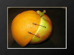 Fotoblog zamknietyswiat