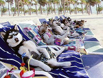 Fotoblog pretka987