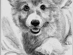 Fotoblog fanta55
