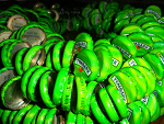 Fotoblog kubucki2