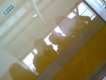 Fotoblog leegalnienielegalnaa