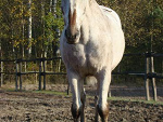 Fotoblog elkajot