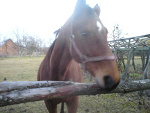 Fotoblog neluska123