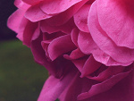Fotoblog rysiak