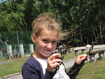 Fotoblog wikusia12342