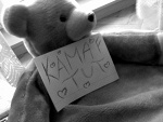 Fotoblog kina1555