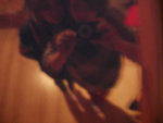 Fotoblog spokomajonez2