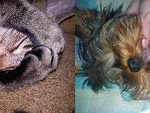 Fotoblog tojestpojebanexd