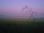 Fotoblog niezwykleinna