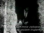 Fotoblog nazakrecienadziei