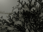 Fotoblog upojna