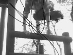 Fotoblog maciek1112244