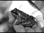 Fotoblog choocolattegirl