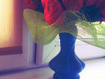 Fotoblog hypnotize90