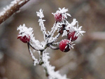 Fotoblog zakazdradzania
