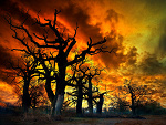 Fotoblog czarnadama95