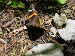 Fotoblog koloroweslowa