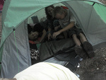 Fotoblog muflony