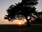 Fotoblog tlw48